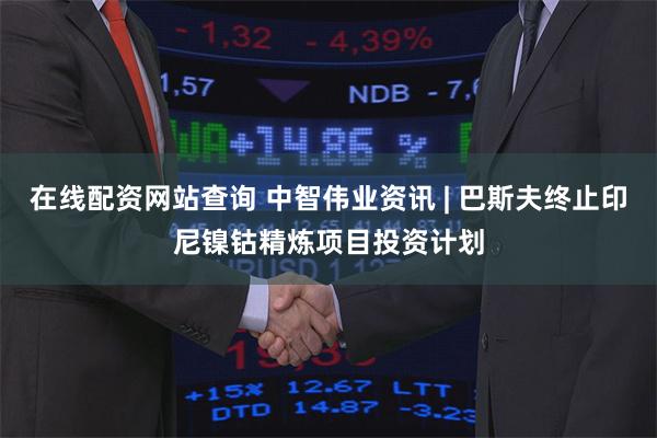 在线配资网站查询 中智伟业资讯 | 巴斯夫终止印尼镍钴精炼项目投资计划