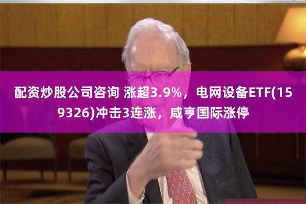 配资炒股公司咨询 涨超3.9%，电网设备ETF(159326)冲击3连涨，咸亨国际涨停