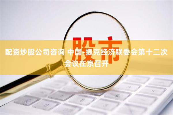 配资炒股公司咨询 中国-捷克经济联委会第十二次会议在京召开