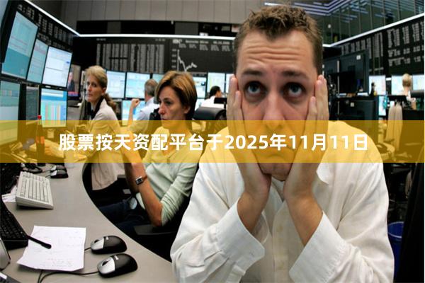 股票按天资配平台于2025年11月11日